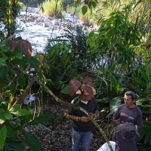 WhatsApp Image 2025-06-24 at 8.22.53 PM