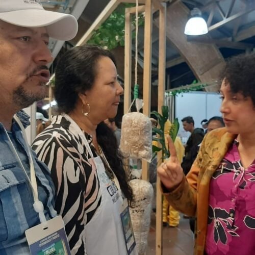 WhatsApp Image 2025-06-24 at 8.25.43 PM